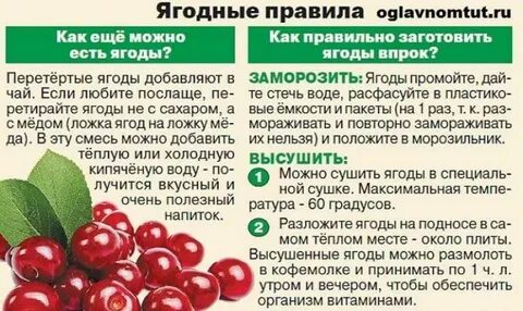 Черешня при грудном вскармливании
