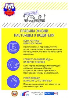 Правила дорог правила жизни