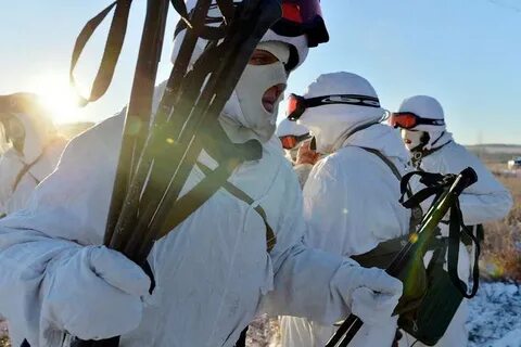 Арктическая группировка