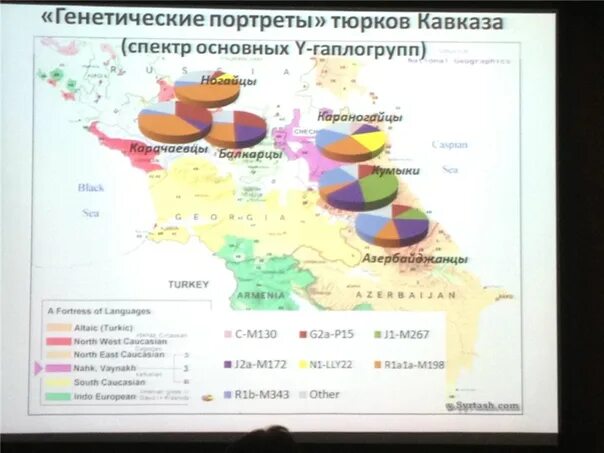 Y-хромосомной гаплогруппы. G2a1 гаплогруппа. Гаплогруппа грузин. Гаплогруппа грузин. Гаплогруппа грузин.