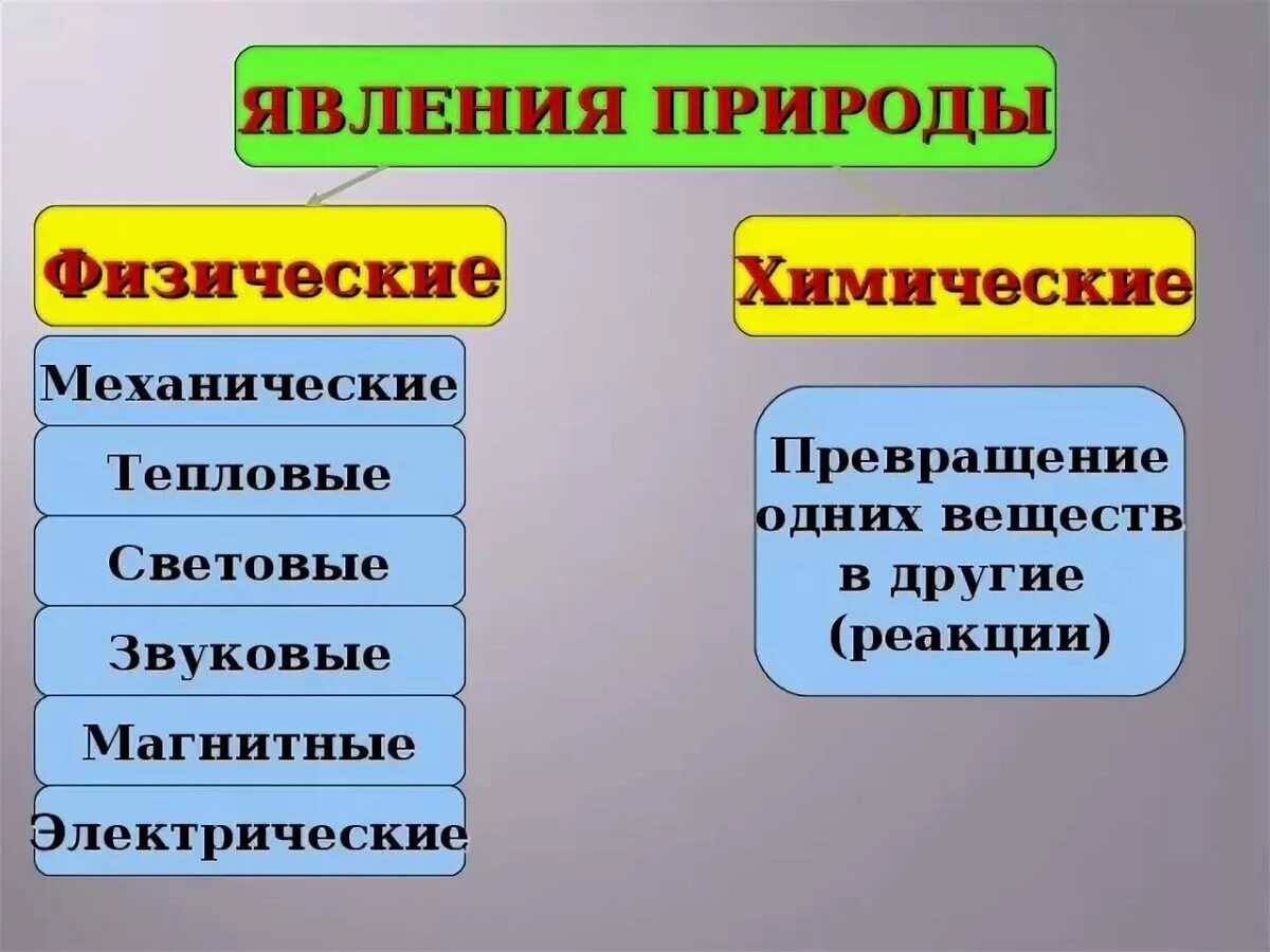 Названия явлений в обществе. Физические явления примеры. Физические и химические явления. Физические и химические явления природы. Физические химические и биологические явления.