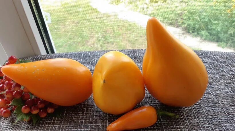 Томат сердце любы. Абрикосовое сердце томат. Томат сердце любы. Томат сердце любы описание. Томат сердце любы описание.