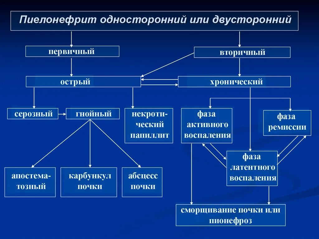 Пиелонефрит является заболеванием. Классификация пиелонефрита. Острый пиелонефрит классификация. Хронический пиелонефрит. Первичный острый пиелонефрит.