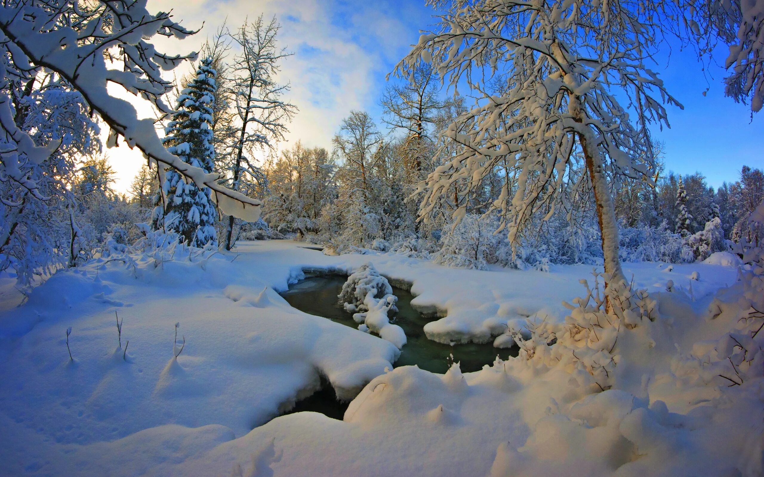 Зимний пейзаж. Зимняя природа. Февраль природа. Зима картинки. Красивая природа февраль