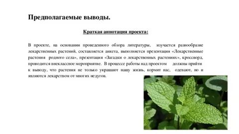 Предполагаемый вывод
