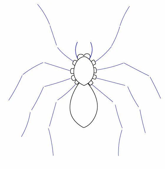 Паук карандашом легко. Паук поэтапное рисование. Рисунок паука пошагово. Рисунки пауков карандашом. Пошаговое рисование паука.