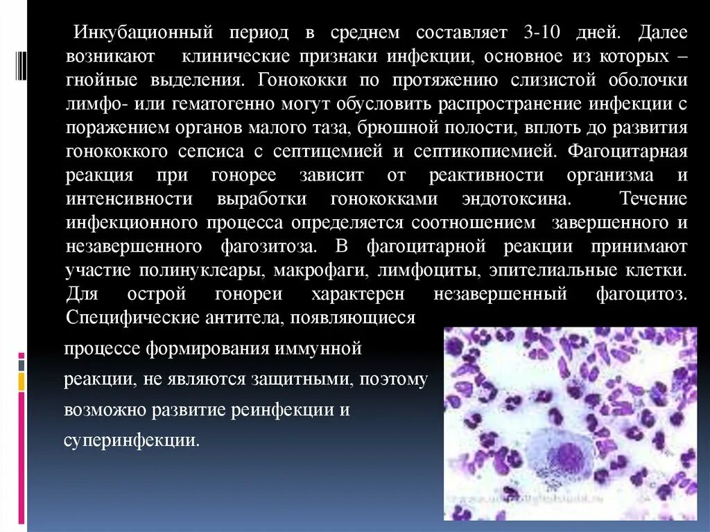 После лечения гонореи. Характерные клинические проявления гонореи. Гонорея очаг поражения. Гонококки клинические проявления.