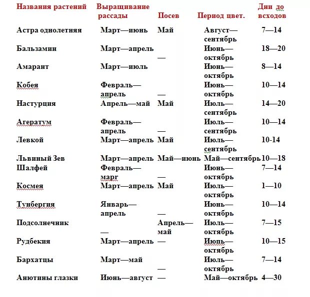 Посадка однолетних цветов на рассаду. Сроки посева семян цветов на рассаду таблица. Таблица сроков посева однолетних цветов на рассаду. Сроки от посева до цветения однолетние цветы.