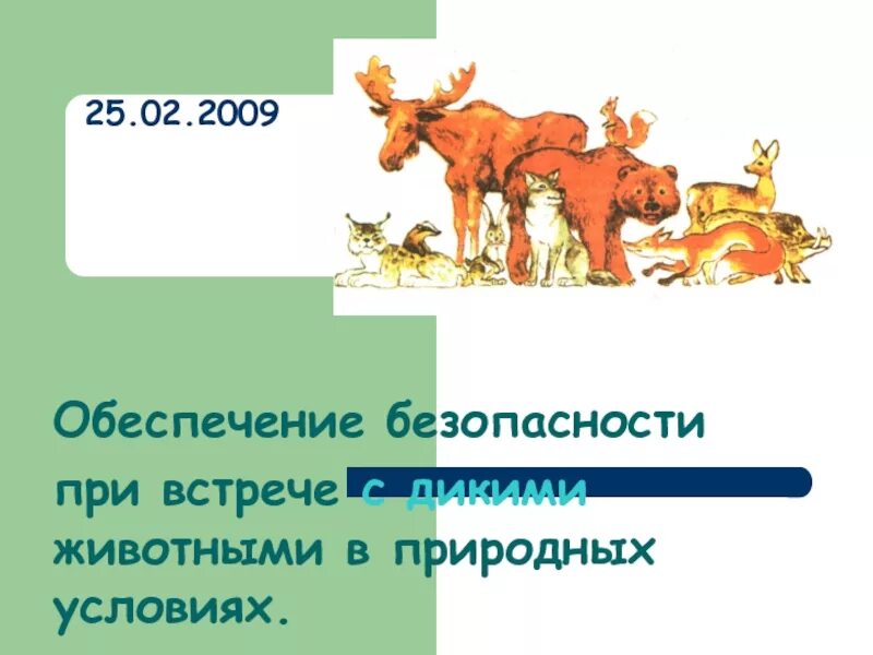 Дикие животные обж 8 класс. Встреча с дикими животными обж. обеспечение безопасности при встрече с дикими зверями. встрече с дикими животными в природных условиях.. доклад обеспечение безопасности при встрече с дикими животными..