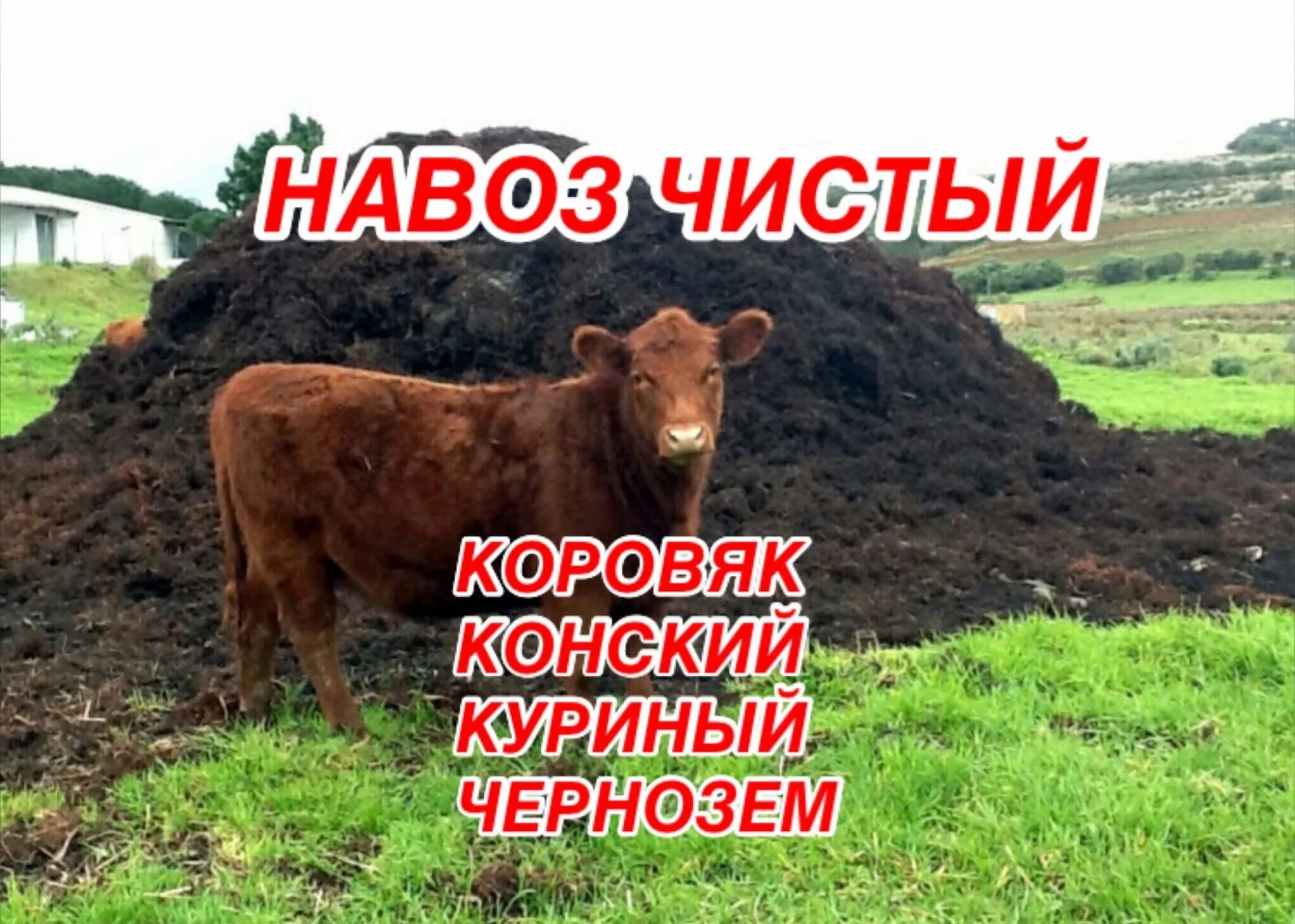 Навоз слушать. Торф зил. Конский перегной. Навоз коровий. Перегной коровий.