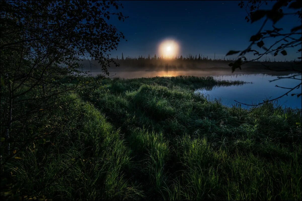 Тихого свет луны. Летняя ночь. Ночная природа. Ночной пейзаж. Пейзаж вечер.