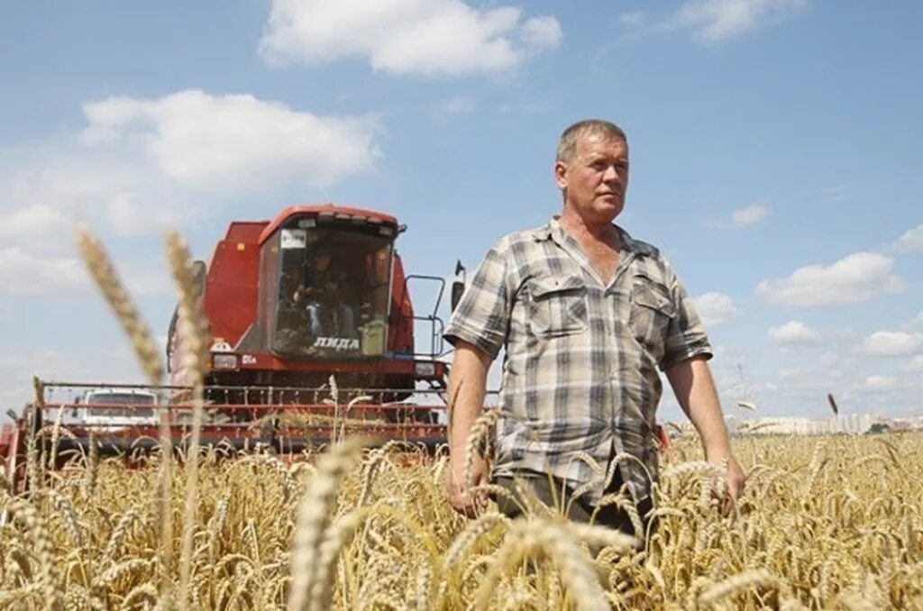 работники сельского хозяйства. алтайский край сельское хозяйство 19 век. колхоз «большевик» (председатель колхоза фидлер). сельское хозяйство целина ссср. целина 1954 хрущев.