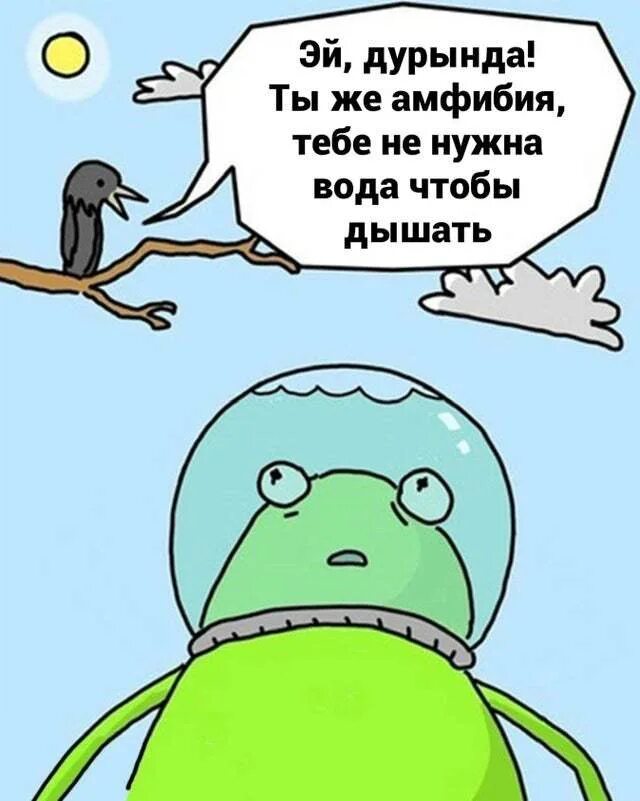 Дурында инструмент. Дурында инструмент. Совок мем. Дурында инструмент. Дурында с рындой.