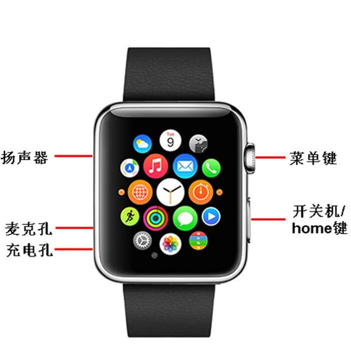 Часы на айфон прозрачный. Смарт-часы Apple IWATCH. Smart часы Apple IWATCH. Apple IWATCH 7. Смарт-часы Apple IWATCH PNG.