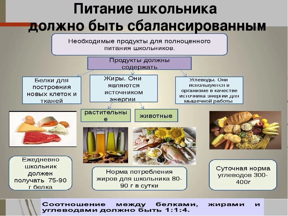 Какое питание должно быть при организованных. Правильное и сбалансированное питание для школьников. Здоровый рацион питания школьника. Здоровое питание младших школьников. Рекомендации школьникам о правильном питании.