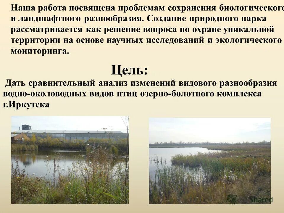 Новоленинские болота Иркутск. Озерно болотный комплекс Тайлаковский. Причины создания природного парка.