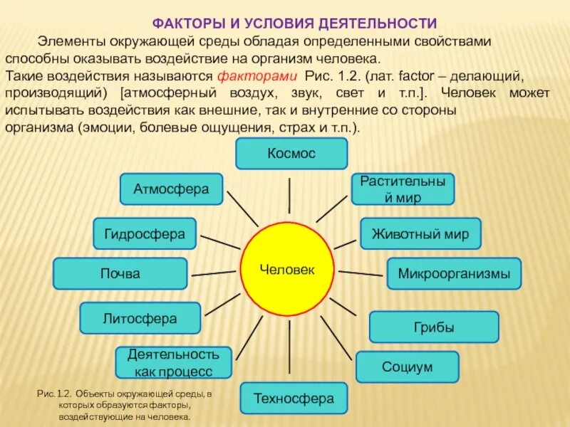 Окружающее элемент. Условия деятельности. элементы деятельности. внешние условия деятельности. элементы деятельности человека.