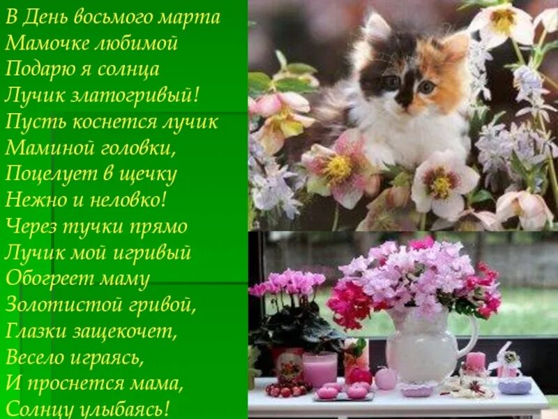Подарю я солнца лучик златогривый