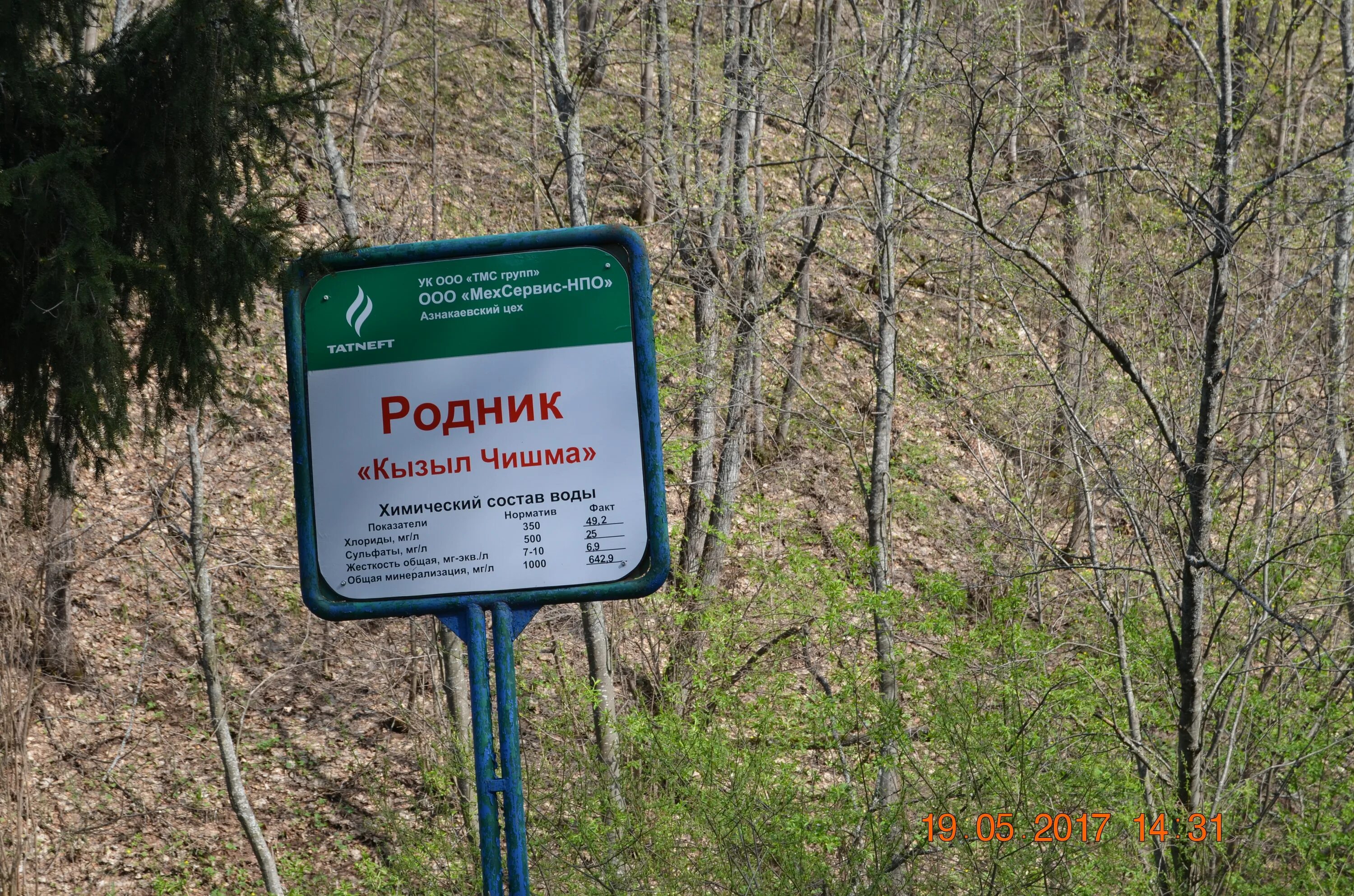 40 родников. Родник Мальбагуш Азнакаево. Азнакаевский район Родник. Родники Азнакаевского района. Мальбагуш Азнакаевский район Родник.