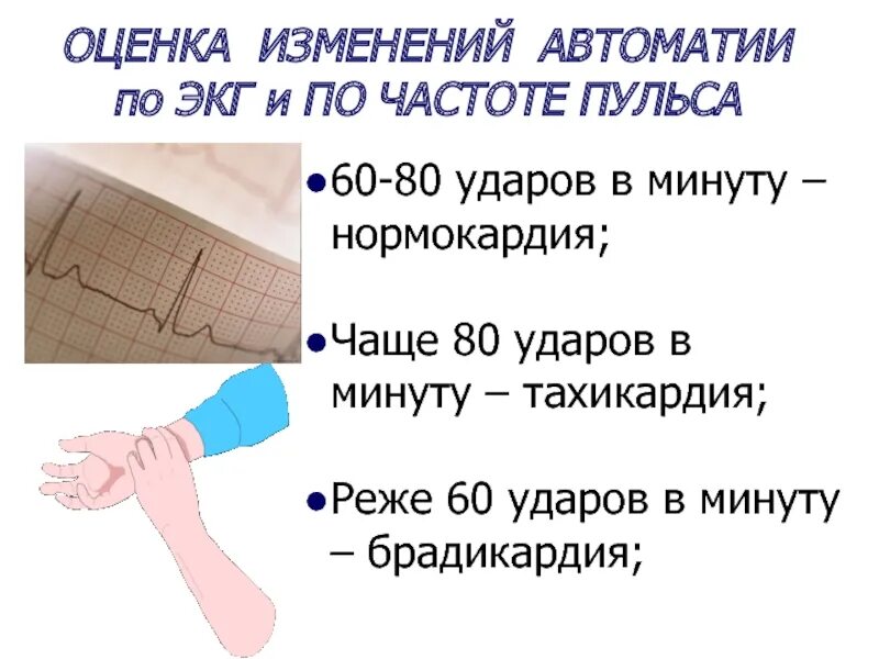 Сколько ударов в минуту делает. Пульс 60 ударов. Пульс меньше 60 ударов в минуту. Сердцебиение 60 ударов в минуту у женщин. Пульс 60-70 ударов в минуту это нормально.