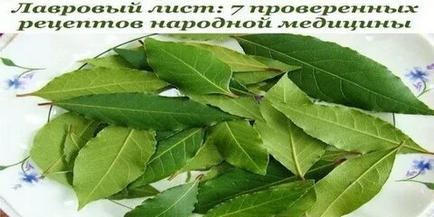 Рецепт гвоздики и лаврового листа