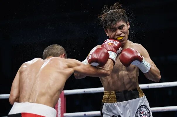 Звезды бокса. Заезд в бокс. Звёзды бокса 1994. Star boxing много