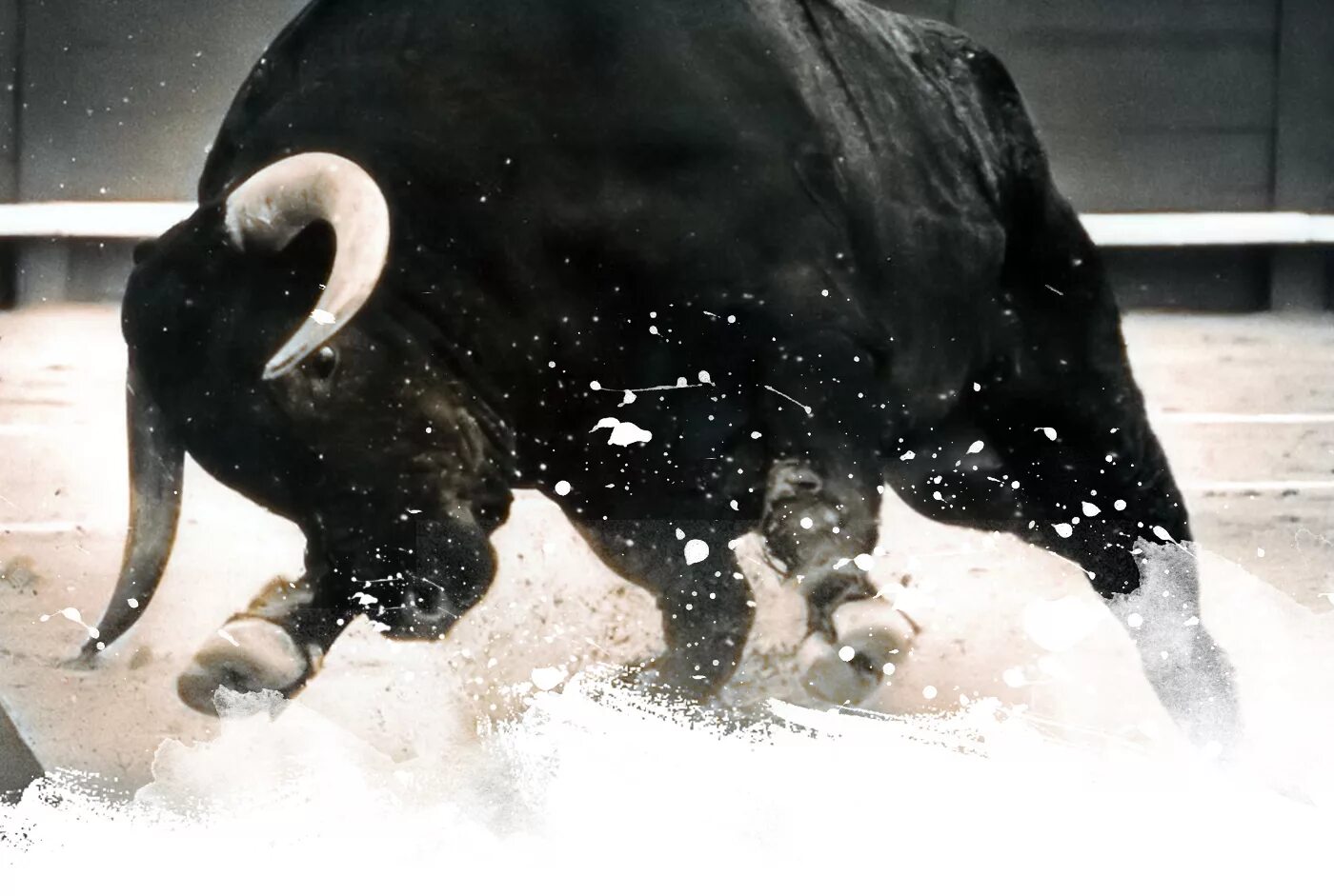 Styling bull