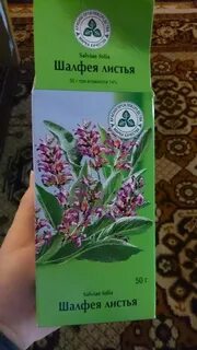 Шалфей при грудном вскармливании