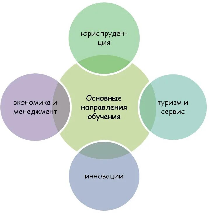 Направление доступной. Планирование основа успеха. Дизайн направление обучение. Планирование основа успеха юмор. Требования к дегустаторам.