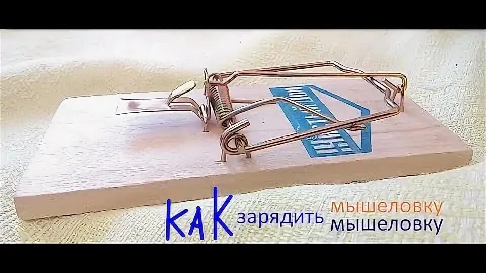 Как зарядить деревянную. Как зарядить мышеловку. мышь попалась в мышеловку. как зарядить металлическую мышеловку. как настроить мышеловку деревянную.