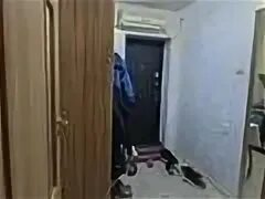 Жэк комфорт 57 микрорайон в фото Микрорайон "Богородский": "Обещания по парковке не выполнены" Тайный жилец Н