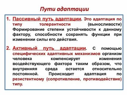 Адаптация лучшие практики