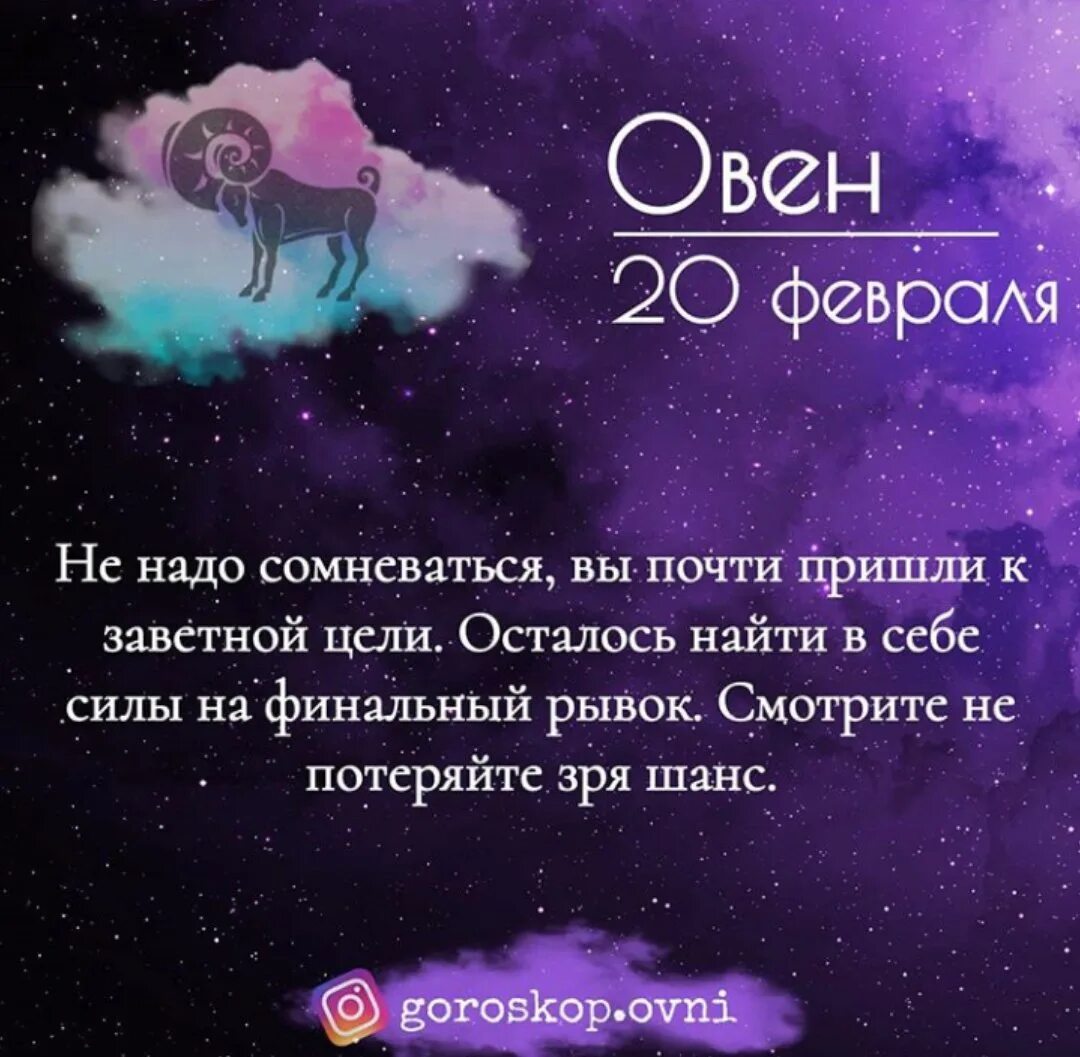Точный гороскоп овен мужчина. Овен гороскоп. Цитаты про Овнов. Цитаты про Овнов женщин. Знаки зодиака. Овен.
