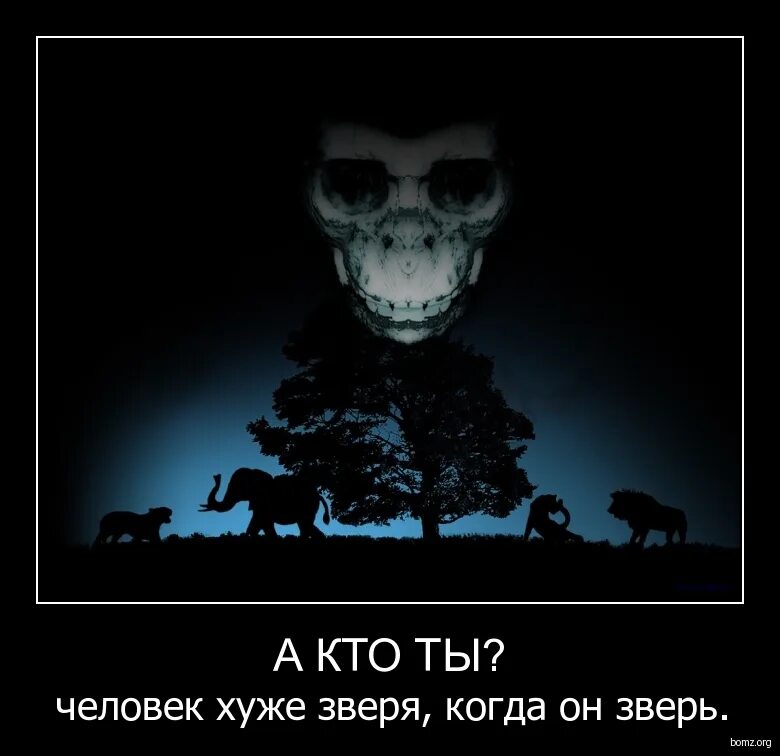 бессмысленность жизни человека. бывают плохие люди. плохого человека не назовут. нет плохих национальностей есть плохие люди. толстушки с пивом.