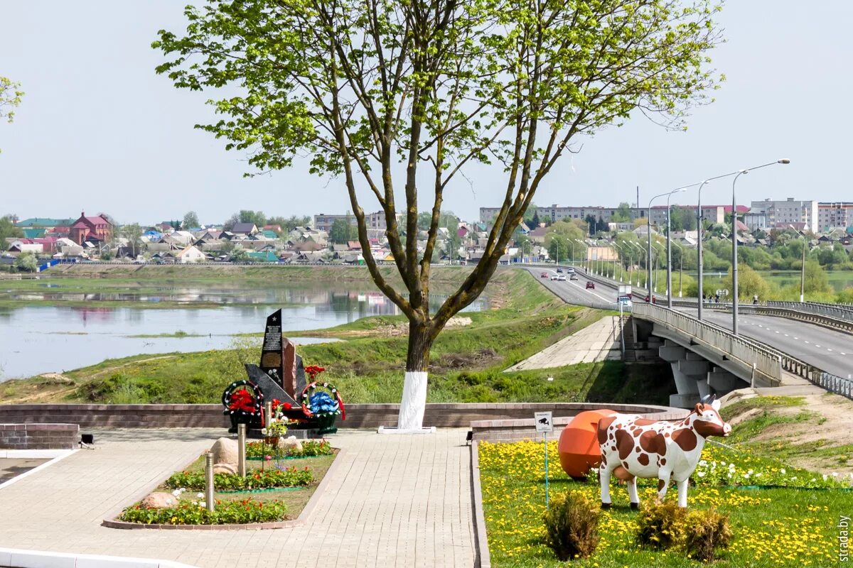 Погода рогачево. Погода рогачева. Судьи рогачева гомельская область. Рогачев парк. Погода в рогачеве.