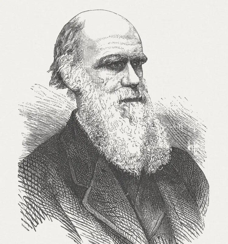 Г р дарвин. Чарльз дарвин фото. Чарльз дарвин (1809-1882). Дарвина. Г р дарвин.