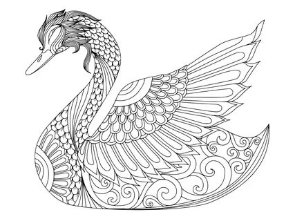 Animal Families Coloring Pages: Free & Fun Printable Coloring