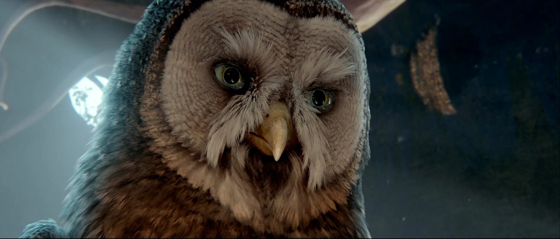 Легенды ночных стражей 2010. Сова играющего игравшего. Декоративная сова живая. Филин из ночных стражей. Сова фотограф.