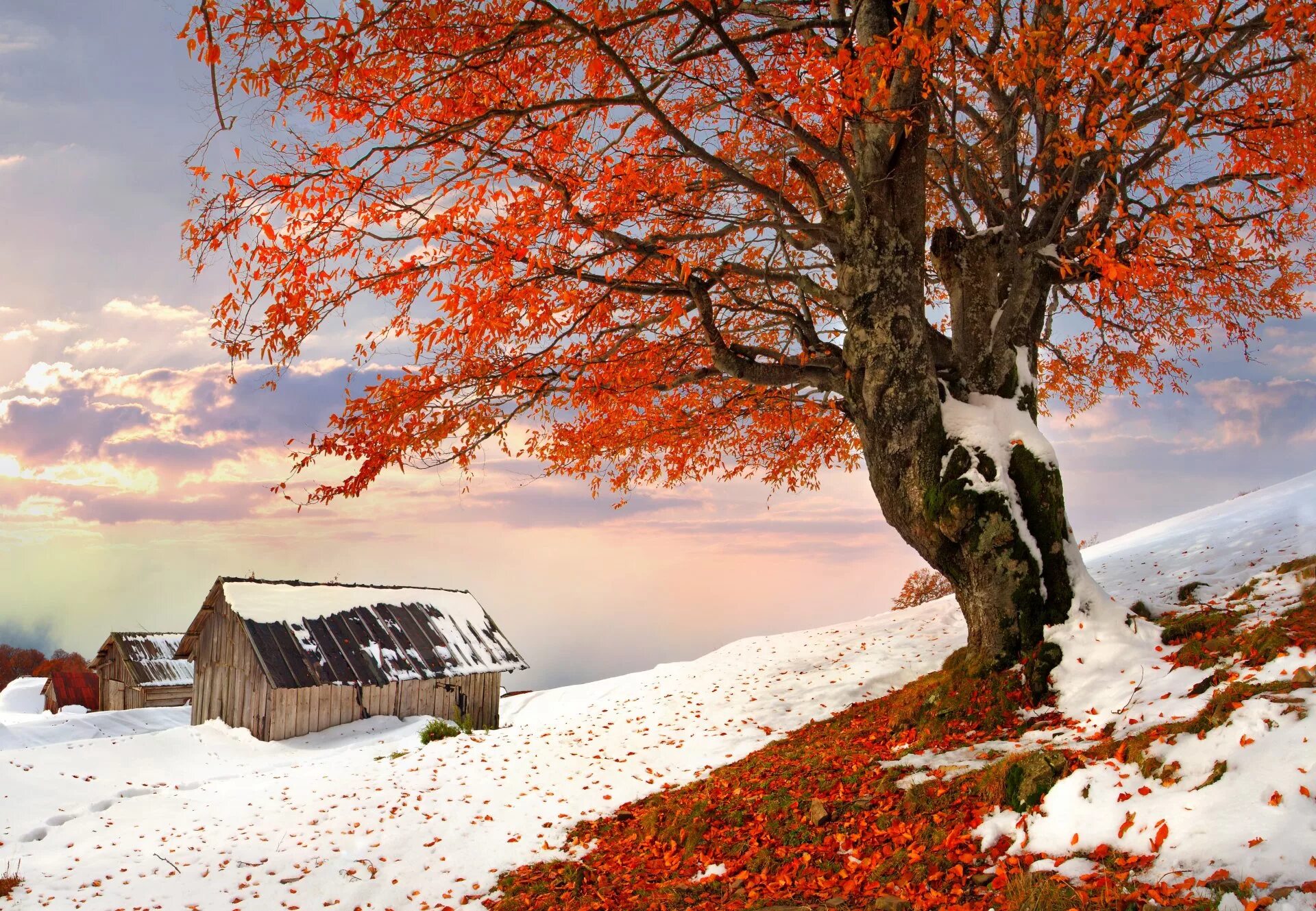 Осенне зимний пейзаж
