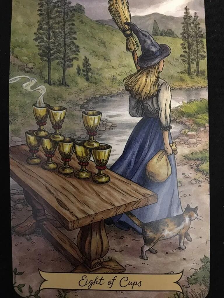 Таро уэйта 8 кубков. Восьмерка кубков таро ведьм. таро ведьмы everyday witch 8 пентаклей. 8 чаш ведьм. умеренность и 8 кубков.