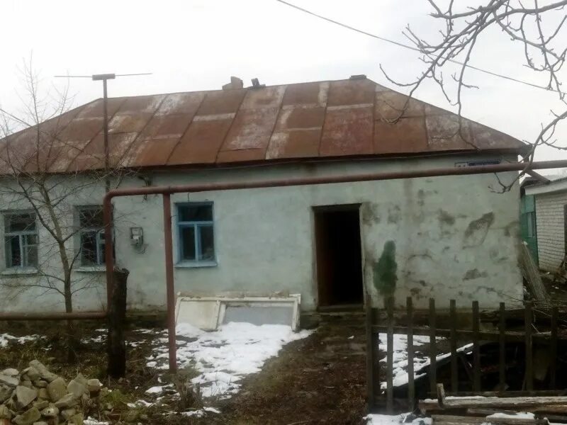 Участок репное воронеж. Картинки дом самоцветный на улице никитская 35. Участок репное воронеж. Заячья поляна воронеж. Ул ленина 114 воронеж.
