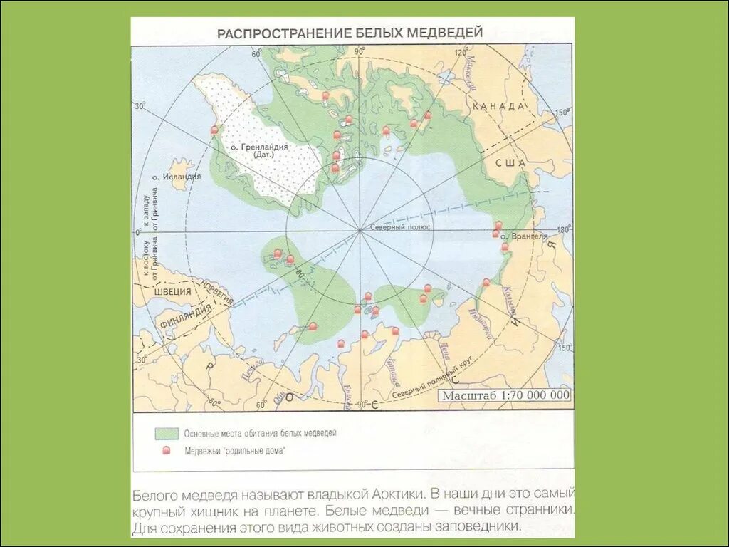 Распространение белого медведя. Место обитания белого медведя на карте. Обитание белых медведей на карте России. Среда обитания белых медведей на карте. Как можно объяснить ареал обитания белого медведя