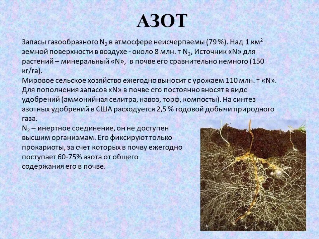 Захват азота. Азот в почве. Формы азота в почве. Запасы азота в почве. Азот из почвы.