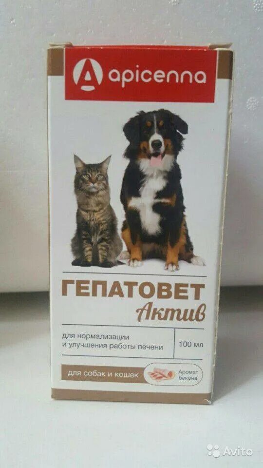Apicenna гепатовет актив отзывы. Гепатовет 100 мл. Гепатовет актив 100 мл. Гепатовет для кошек. Гепатовет таблетки.