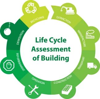Life cycle