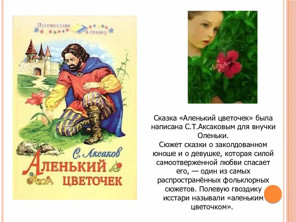 Аленький цветочек краткое содержание 2 класс. С Т Аксаков Аленький цветочек. 165 Лет (1858) сказке «Аленький цветочек» с. т. Аксакова. Рассказ Аленький цветочек.