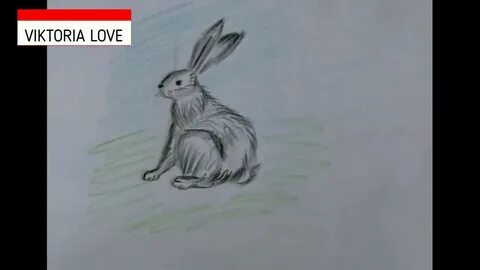 Видео как нарисовать кролика