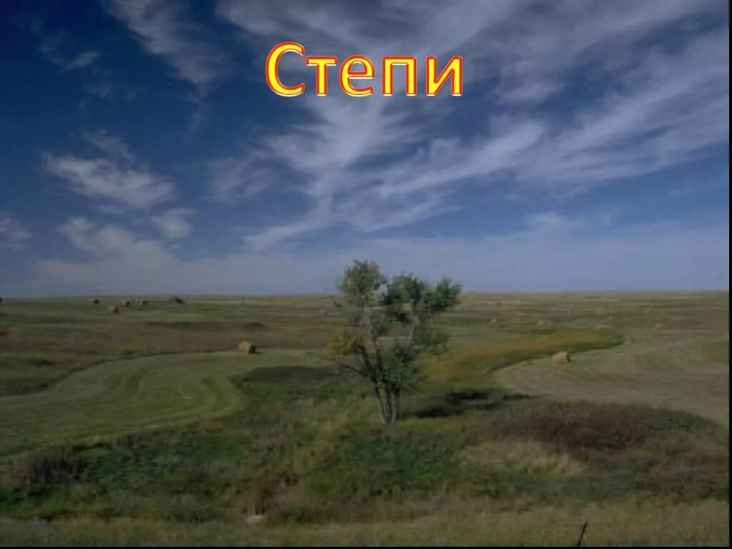 Неживая природа степи. Условия неживой природы в степи. Неживая природа зоны степей. Неживая природа степей 4 класс.