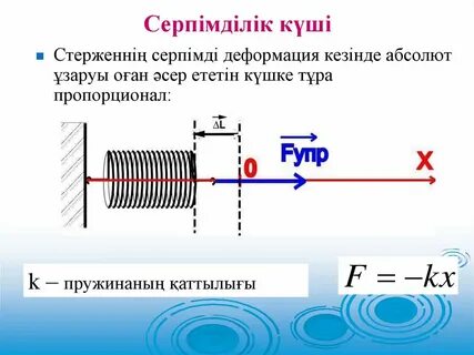 Әйелдердің қырынған кискаларының әуесқойлық фотосуреттері