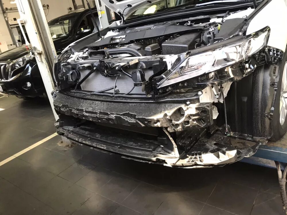 Котафоты в задний бампер! - Toyota Camry (XV50), 2,5 л, 2011 года аксессуары DRI